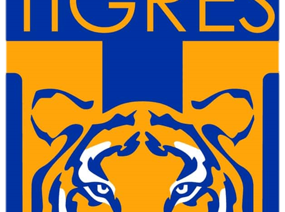 tigres PNG