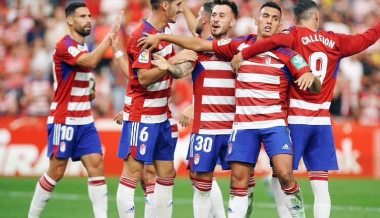 Jugadores del Granada celebran un gol de Uzuni